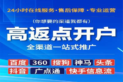 深入剖析SEM公司成功案例：数据驱动的广告策略